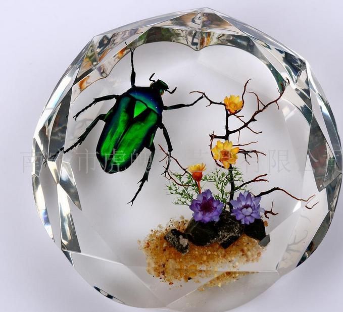 手工活加工制作昆蟲琥珀工藝品 想找份手工活代理制作昆蟲琥珀工藝品(圖1)