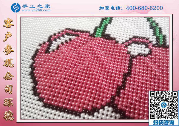 手工之家&mdash;&mdash;雅薇麗珠繡成品實(shí)拍