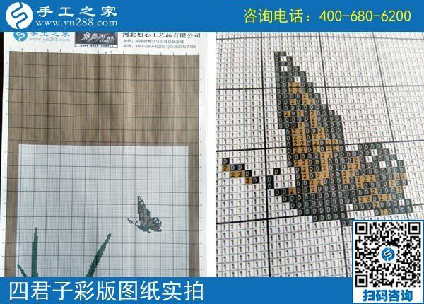 手工之家雅薇麗珠繡圖紙（梅蘭竹菊）新款，彩色升級(jí)版！(圖2)