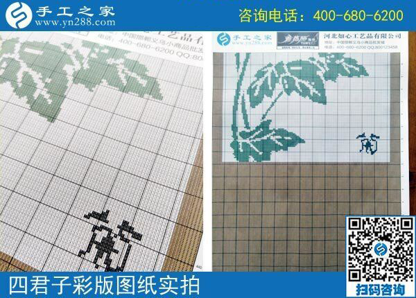 手工之家雅薇麗珠繡圖紙（梅蘭竹菊）新款，彩色升級(jí)版！(圖3)