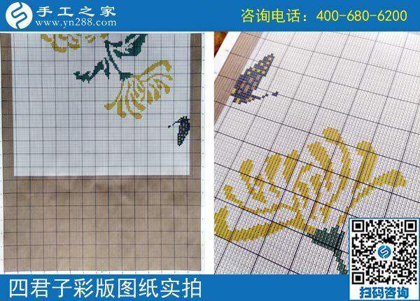 手工之家雅薇麗珠繡圖紙（梅蘭竹菊）新款，彩色升級(jí)版！(圖4)