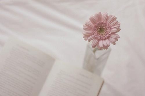 微商發(fā)朋友圈有技巧？當(dāng)然有，你知道嗎？(圖4)