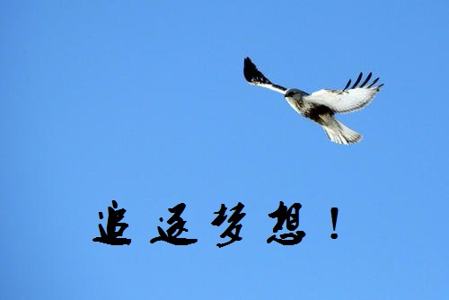 追夢路上，付出和堅(jiān)守就是成功的秘訣-------手工之家新疆阿克蘇地區(qū)某加工會(huì)員成長記(圖1)