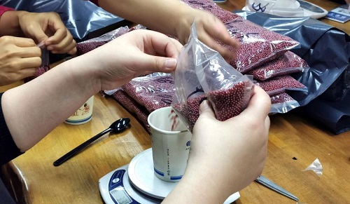 加班到夜里十點(diǎn)，要讓珠繡外發(fā)材料盡快到加工人員的手中(圖5)