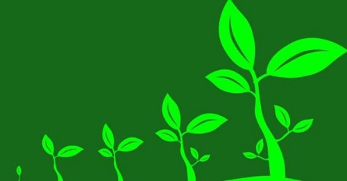 微商要掙錢(qián)、要成功，大家要記住這幾點(diǎn)(圖1)