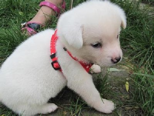 防騙在行動(dòng)，手工之家提醒大家，生活中這些“”的騙局要知道(圖3)