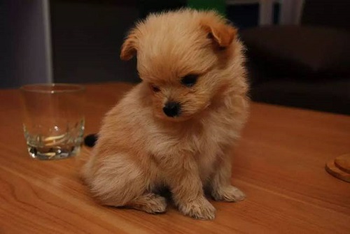 防騙在行動，手工之家提醒大家，常刷短視頻，這些詐騙套路要知道