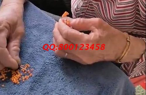 在家做手工活掙錢，這里的珠繡外發(fā)加工手工活很受歡迎(圖1)