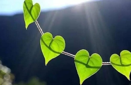 做微商，如何掌握必要的銷售技巧？(圖2)