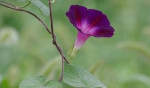 做微商，如何做一個(gè)他人喜歡的微商關(guān)系很大(圖2)