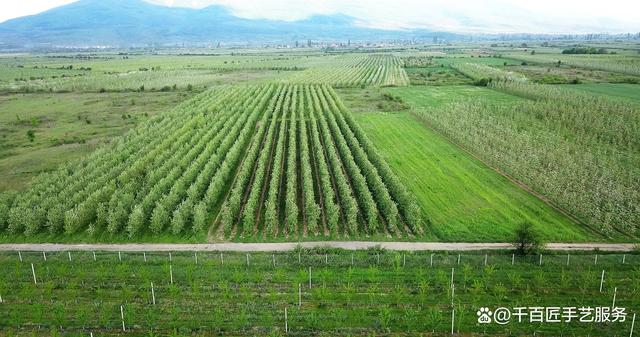 千百匠鄉(xiāng)村運營官:助力鄉(xiāng)村振興的新力量(圖2)