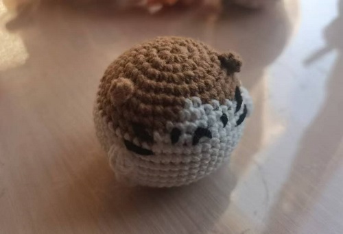 貓咪團(tuán)團(tuán) (2).jpg