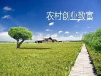 新型農(nóng)村創(chuàng)業(yè)小項目，會拍短視頻就能賺錢，兼職副業(yè)都可以做