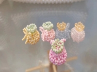 外發(fā)手工領(lǐng)回家做，串珠純手工了解清楚后會長期做