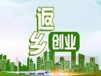 除了種地，不外出打工，在農(nóng)村還能怎樣掙錢？很多人低成本創(chuàng)業(yè)做手工傳承官