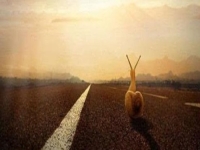 沒經(jīng)驗(yàn)沒基礎(chǔ)怎么賺錢？因?yàn)槭杖牒茫x擇做手工傳承官，在家就業(yè)創(chuàng)業(yè)的人很多