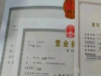 2025年要做的小成本創(chuàng)業(yè)項(xiàng)目，開純手工加工廠掙錢不會倒閉，能長期做下去