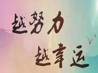 新的一年，在做手工掙錢的道路上，我們依然選擇努力，為了更好的生活和心中的夢(mèng)