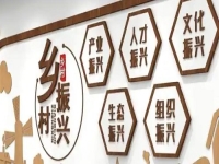 不打工，在農(nóng)村做什么好？不負(fù)時(shí)光，純手工活兒整出好“錢”景