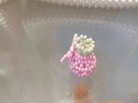 9月3日，手工兼職創(chuàng)業(yè)在家做是真的，微創(chuàng)業(yè)做手工工作室，在家做的好手工，手工之家有實(shí)力，合作起來(lái)踏實(shí)放心，圖為串珠米珠繡純手工產(chǎn)品剪影