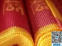 做手工活加工事業(yè)，沒(méi)有任何門檻，男士也很青睞