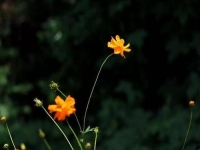 做微商與做人一個道理，要想成功，千萬不要做這樣的事