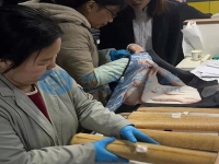 在家庭工作做手工活外接串珠子，常年輕松快樂把錢賺